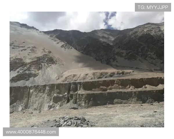 深度对话:赵强在英雄联盟中的成长与挑战之路 深度对话:赵强在英雄联盟中的成长与挑战之路