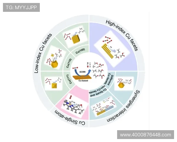西安飞盘队战术探讨：如何提升团队协作与比赛胜率