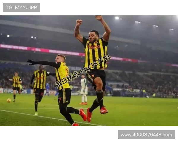 沃特福德与纽卡斯尔联的精彩对决分析与赛前预测 沃特福德与纽卡斯尔联的精彩对决分析与赛前预测