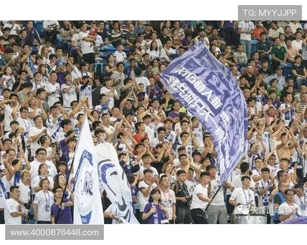 泰达与权健对决购票攻略全方位解析助你轻松入场观看比赛